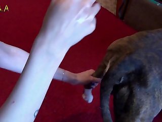 Causing Her To Lose Hold Of Itthe Collar Now Has The Stick Instead