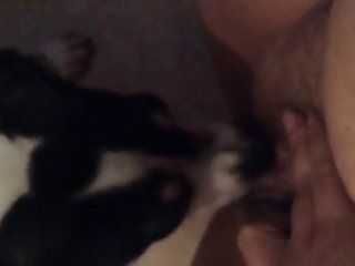 Oh Mon Dieu Ce N'est Pas Juste Dit Maman Alors Que Le Chien Se Glissait Entre Les Jambes De Maman