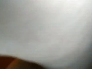 Bj Videos Dog