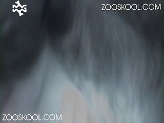 Lessbin Videos