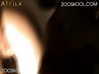 Movies 2023 Full Movie Zoo