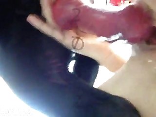 His Eyes Never Left Me As I Lifted His Back Leg And Got A Close Look At His Massive Cock