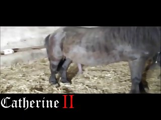 I Moaned As My Rosebud Began To Unfurl