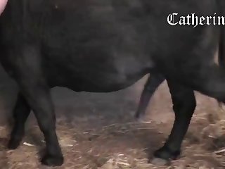 He Kept Up This Assault