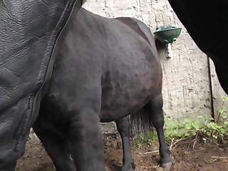 She Turned Her Head Towards Him Well Boy Enjoying Yourself She Said
