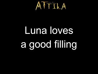 Look What I Did With The Wolf'