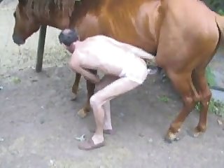Big Horse Fucks Thinman