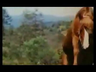 Good Sex With Donkey Animal Sex Zootube365.com 1