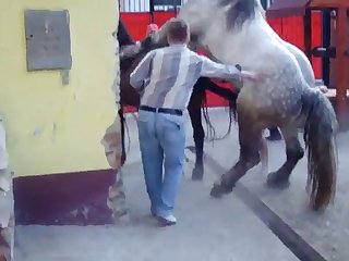 Armasarmonta