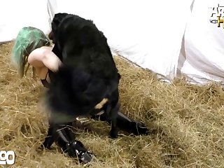 Video Oorn