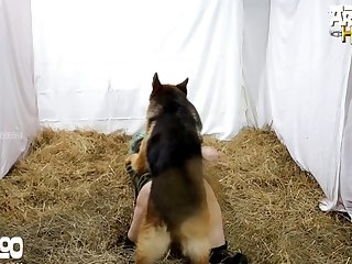 Video Oorn
