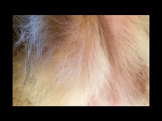Hotwetpussy