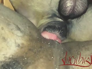 Deep Dog Cock 2018 2 14 21 31 25.avi
