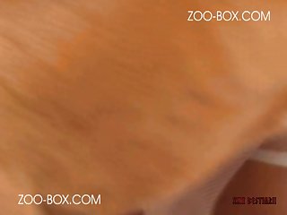 Interspecies Porn