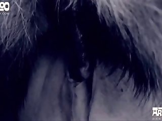 Youtubers Doing Porn