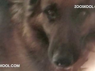 Fucking Dog Pussy Porn