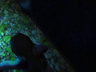 Dog Pussy Hentai