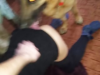 Porn Pros Sites