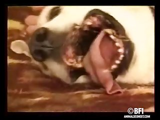 Equine Porn
