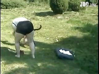 Animal Sex Scenes