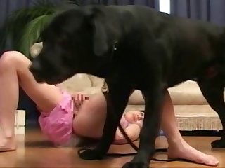 Dog Fucking Videos