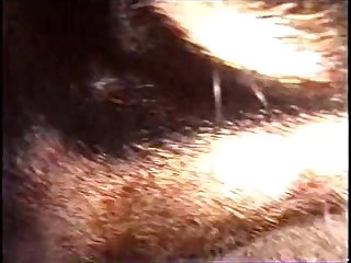 Minx Xxx Porn