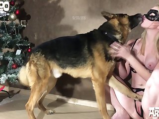 Gay Animal Human Porn