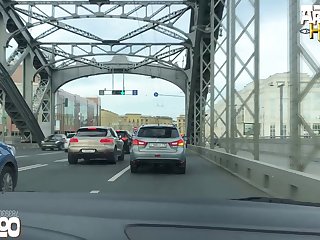 Live Animal Sex Porn