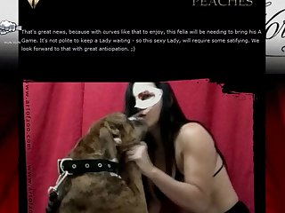 Nami Animal Porn
