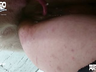 Werid Animal Porn