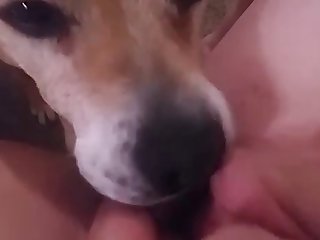 Cartoon Shemale Animal Porn