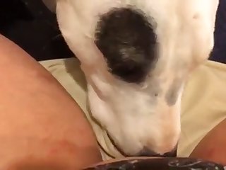 Homemade Teen Animal Porn