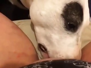 Homemade Teen Animal Porn