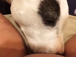 Homemade Teen Animal Porn