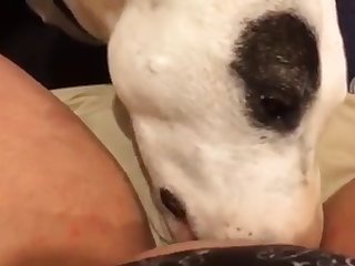 Homemade Teen Animal Porn