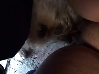 Women Animal Hardcore Dog Sex Porn
