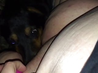 Porn Animal And People