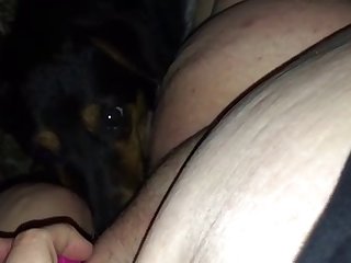 Porn Animal And People