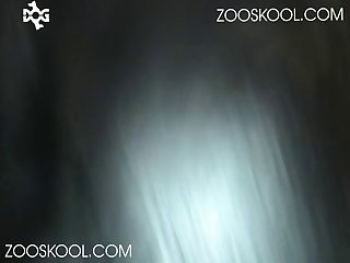 Zoofilia Hombre Y Serpiente