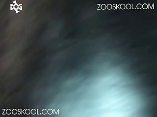Zoofilia Hombre Y Serpiente