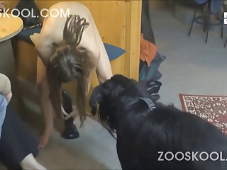Quadrinhos Hentai Zoofilia