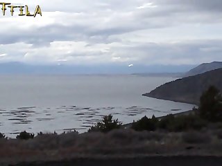 Zoofilia Gozando Dentro Da Cachorra