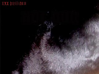 Video Sexo Gratis Zoofilia