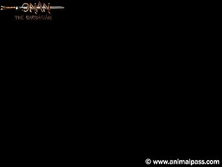 Video Zoofilia Con Caballos