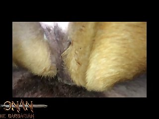 Zoofilia Porno Trans