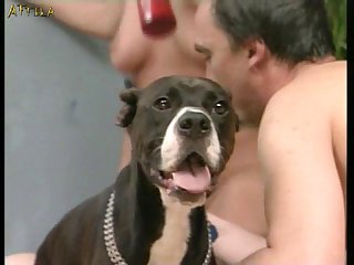 Zoofilia Homem Com Cavalo