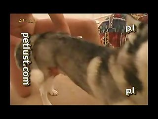 Zoofilia Comendo O Cu Da Cachorra