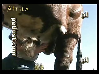 Zoofilia Com Dois Cachorros