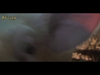 Zoofilia 2 Cachorro
