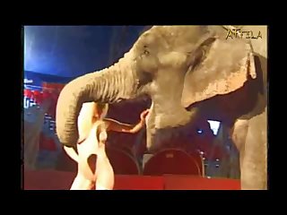 Pig Anal Zoofilia